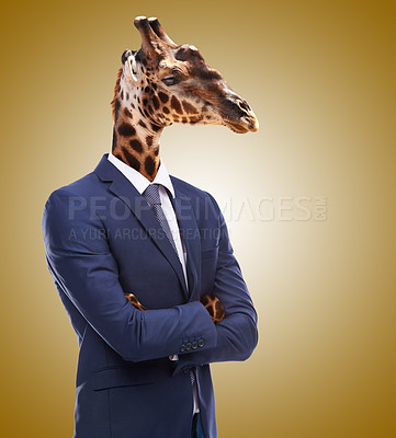 Buy stock photo Conceptual image of animal heads on business people