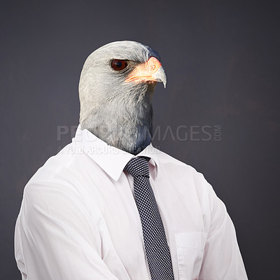 Buy stock photo Conceptual image of animal heads on business people