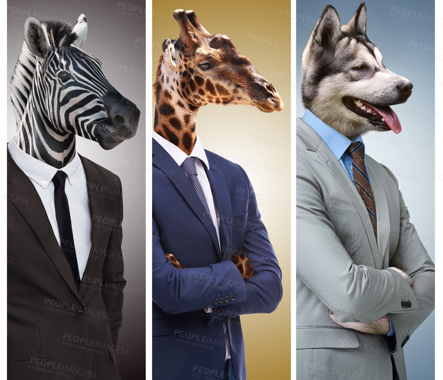 Buy stock photo Conceptual image of animal heads on business people