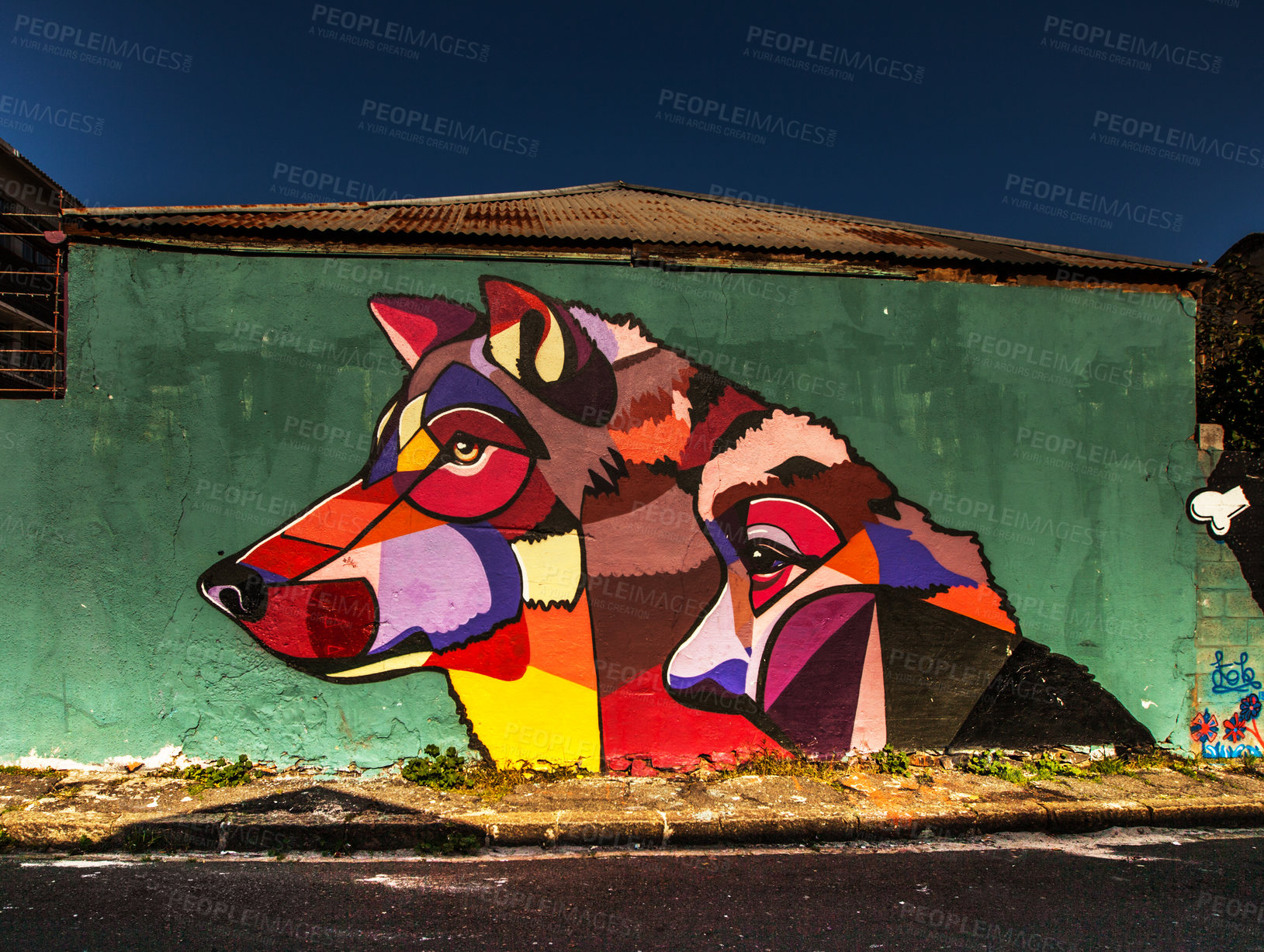 Buy stock photo City street art, wolf graffiti and design tag with creativity outdoor in neighborhood. Urban wall mural, animal graphic and illustration with creative painting and artwork on building architecture