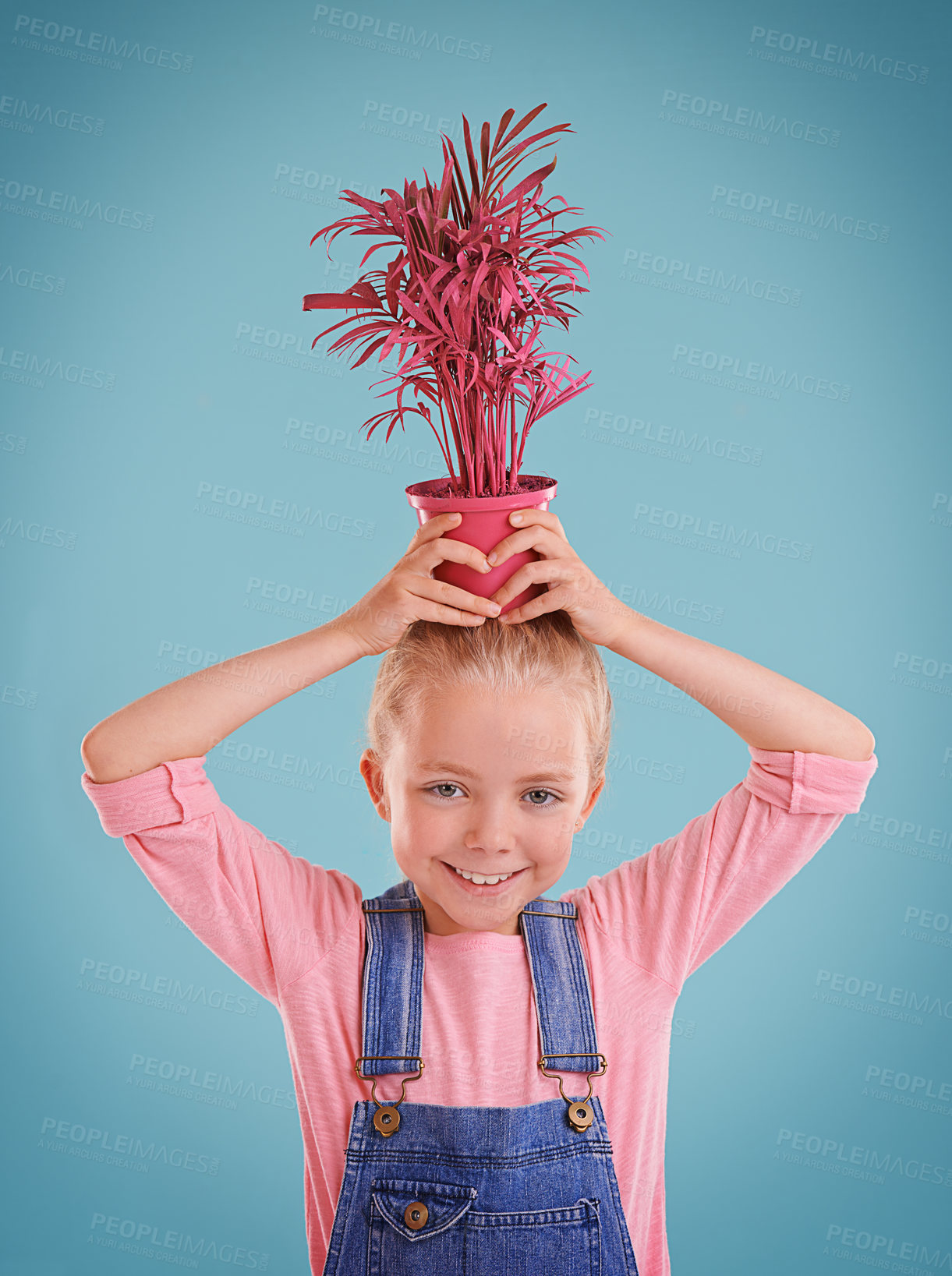 Buy stock photo Portrait, plant and girl with pot on her head, smile and happiness on a blue studio background. Face, child and kid with nature and funky with promotion and playful with fun and cheerful with joy