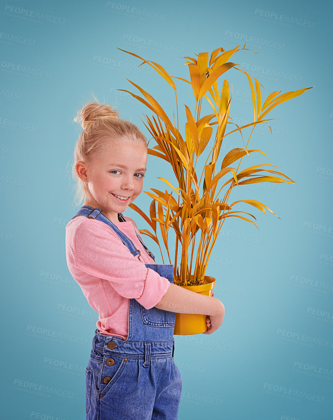 Buy stock photo Portrait, pot and plant with girl, child and happiness with smile on a blue studio background. Face, mockup space and model with nature and funky with decoration and colorful with fun, calm or kid