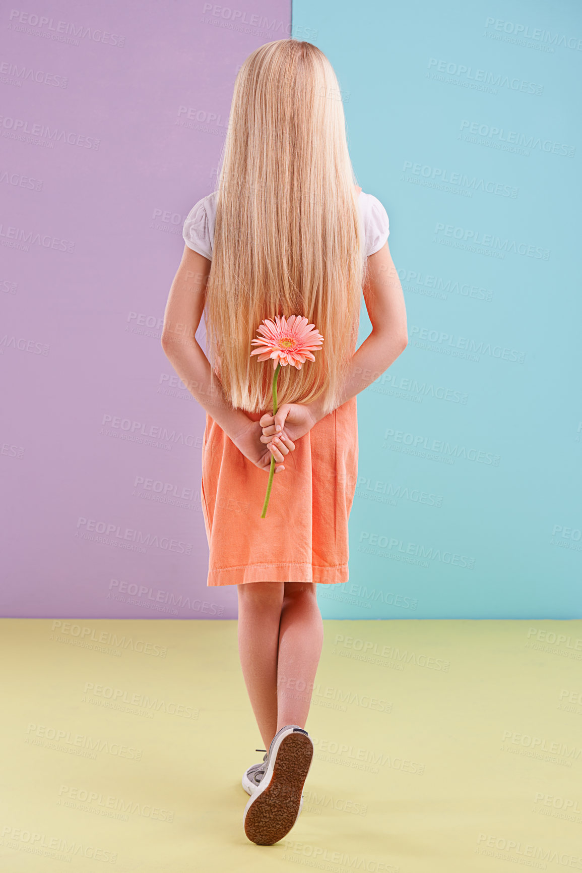 Buy stock photo Fashion, flower and back of child in studio with cute, trendy and casual dress for outfit. Sweet, gift and young girl kid with blonde hair, style and pink floral plant by color block background.