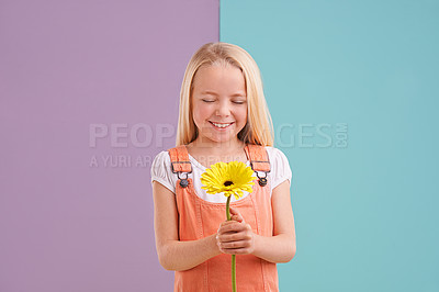 Buy stock photo Style, flower and child with wish in studio with cute, trendy and casual dress for outfit. Sweet, smile and young girl kid with fashion and yellow floral plant for gift by color block background.