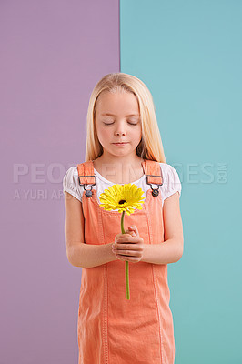 Buy stock photo Fashion, flower and child with wish in studio with cute, trendy and casual dress for outfit. Sweet, gift and young girl kid with hope, style and yellow floral plant by color block background.