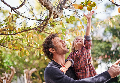 Buy stock photo Cropped shot of a little girl and her father in the garden during autumn