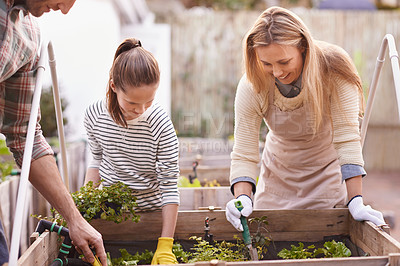 Buy stock photo Happy family, gardening and plants in backyard of home for organic growth, sustainability and agriculture. Parents, girl child and smile in garden for learning, vegetable boxes and eco friendly hobby