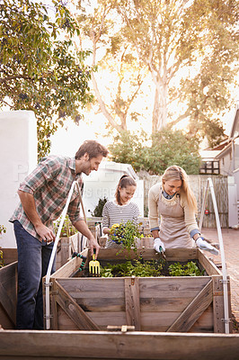 Buy stock photo Happy family, gardening and plants in garden of home for organic growth, sustainability and agriculture. Parents, girl child and smile in backyard for learning, vegetable boxes and eco friendly hobby