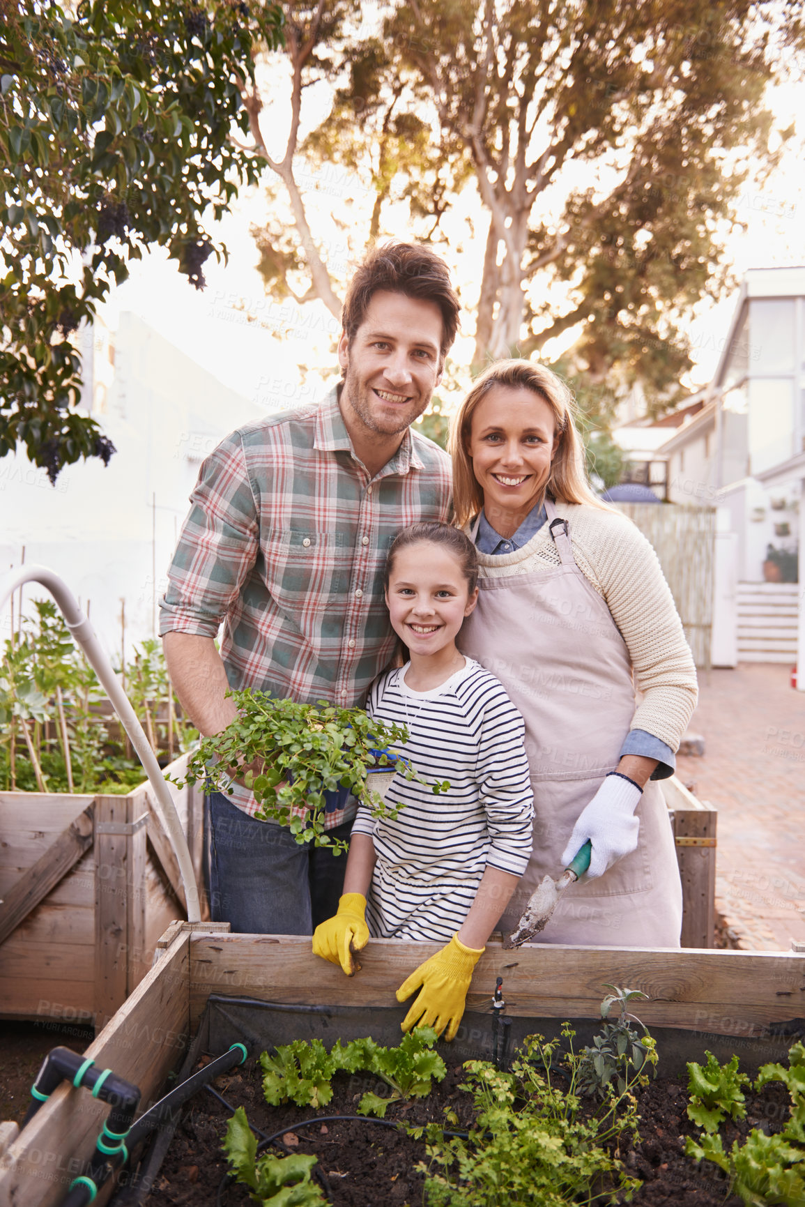 Buy stock photo Happy family, gardening and portrait in backyard of home for organic growth, sustainability or agriculture. Parents, girl child and face in garden for learning, vegetable boxes and eco friendly hobby