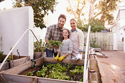 Buy stock photo Portrait of a happy family gardening together in their backyard