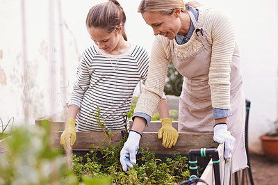 Buy stock photo Learning, happy mother and kid in garden with plants, helping or family together outdoor in summer. Mom, girl and smile with vegetables at backyard for agriculture or growth of organic food in boxes