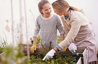 Buy stock photo Shot of a mother and daughter gardening together in their backyard
