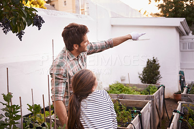 Buy stock photo Father, daughter and gardening with pointing in home for bonding, happy family and curious child. Man, girl kid and learning with sustainability, agriculture and plant growth in backyard of house