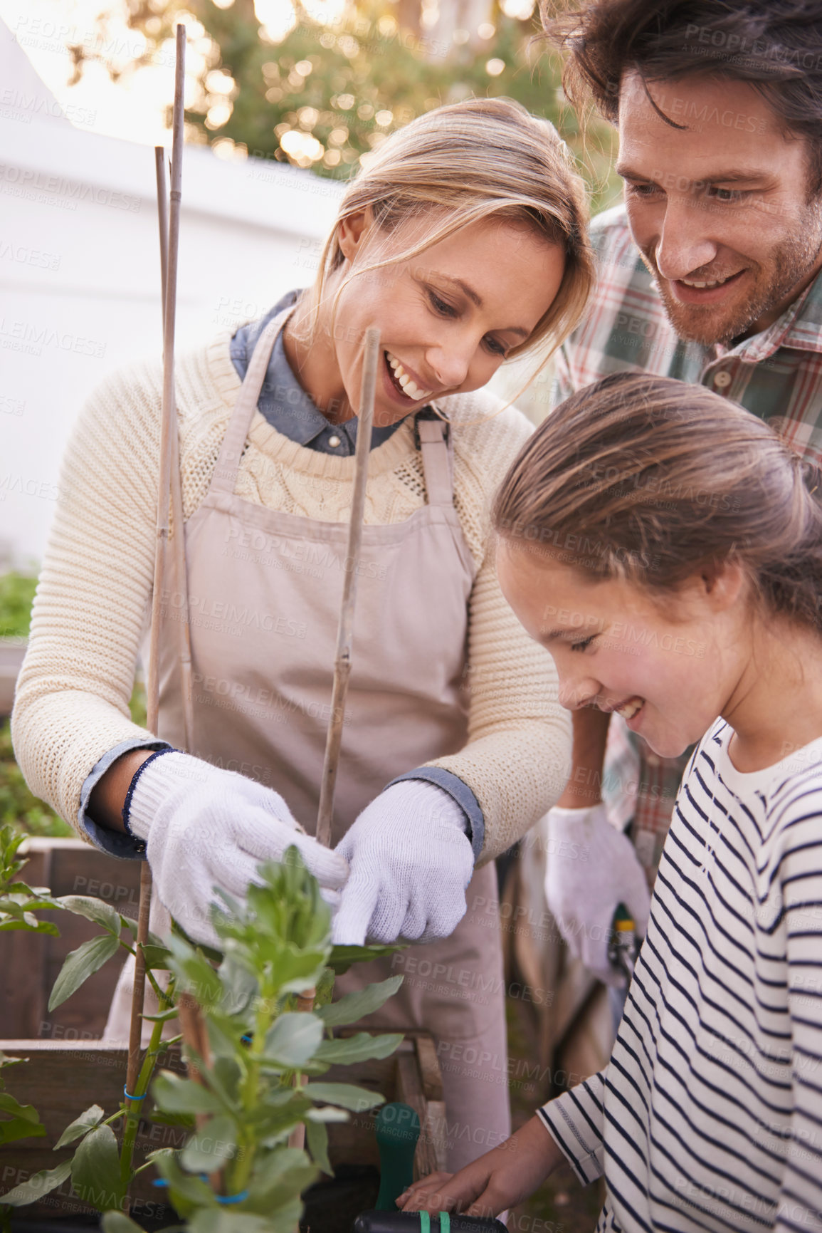 Buy stock photo Shot of a family gardening together in their backyard