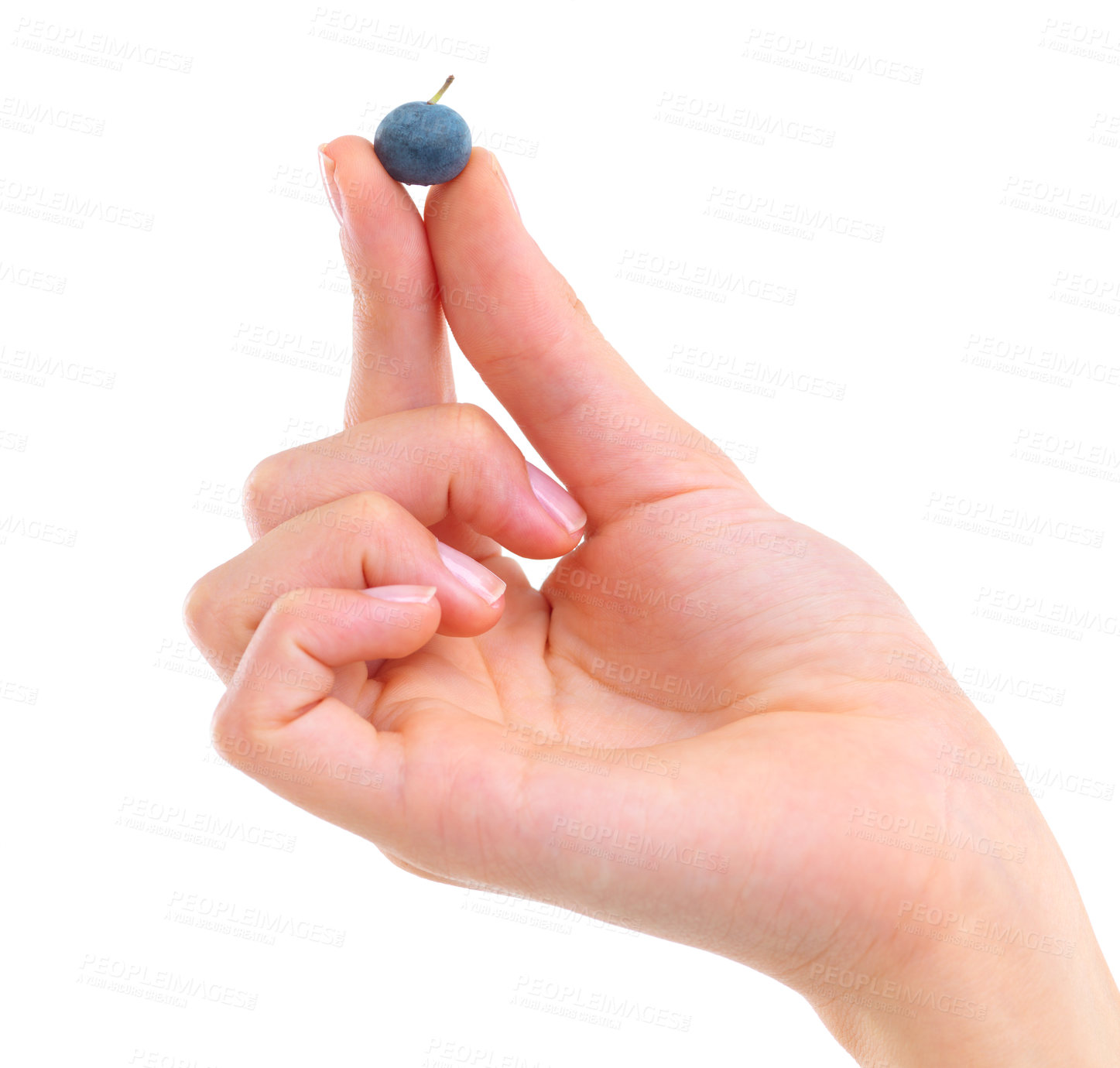 Buy stock photo Closeup, person and hand with blueberry, healthy and nutrition isolated on white studio background. Fingers, mockup space or fruit with diet plan or wellness with vegetarian, antioxidant or superfood