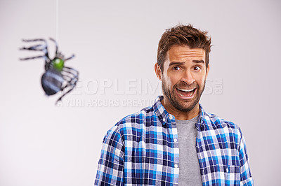 Buy stock photo Studio shot of a young man cowering in terror at a spider against a gray background