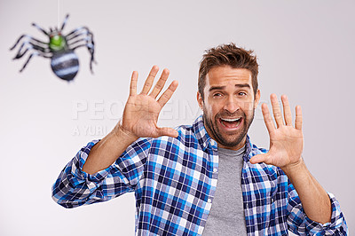 Buy stock photo Man, scared and spider with shout in studio with arachnophobia terror or scream, wildlife or white background. Male person, hands and insect fear or animal danger on mockup space, afraid or tarantula