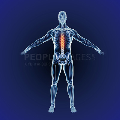 Buy stock photo A full length cgi representation of the human body indicating the skeletal structure