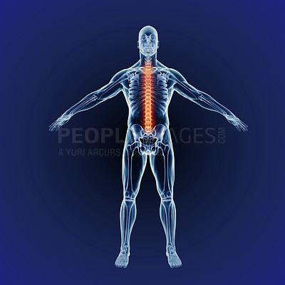 Buy stock photo A full length cgi representation of the human body indicating the skeletal structure