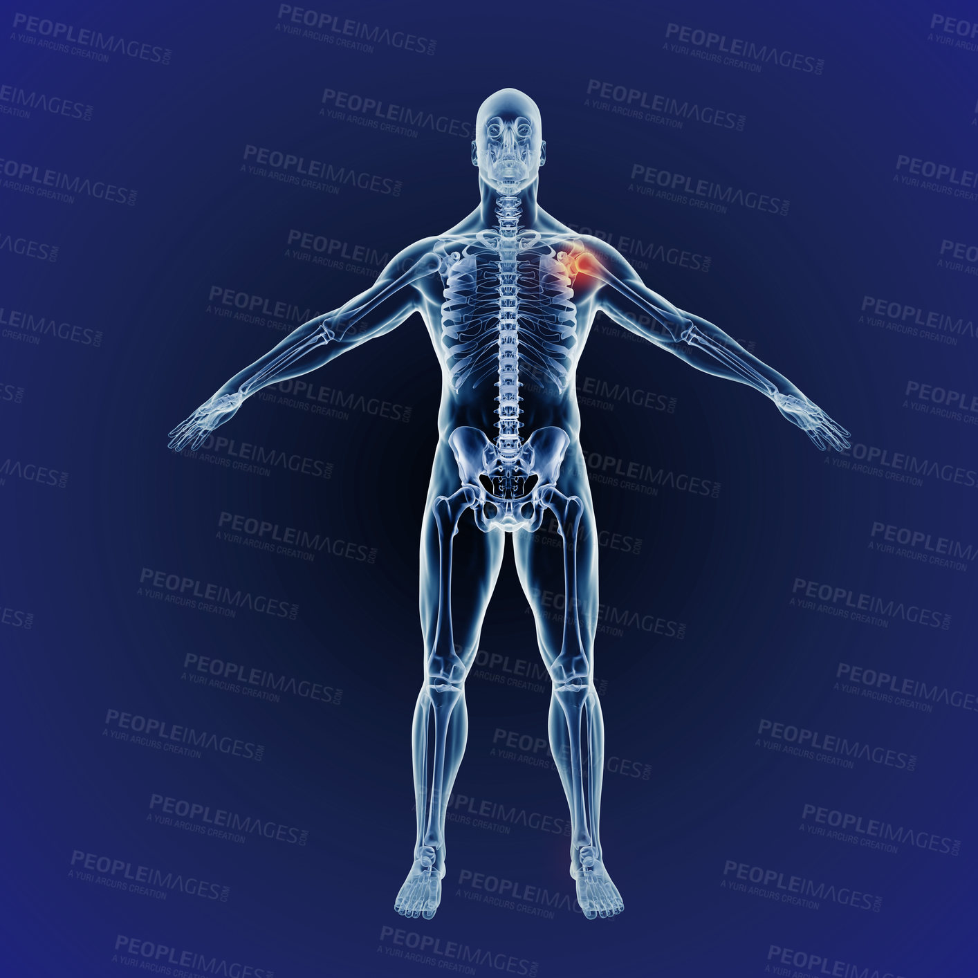 Buy stock photo Shoulder pain, skeleton and graphic of body for xray, exam and analysis in medical overlay. 3D of human anatomy, radiology and red illustration of injury or physiotherapy on a dark or blue background