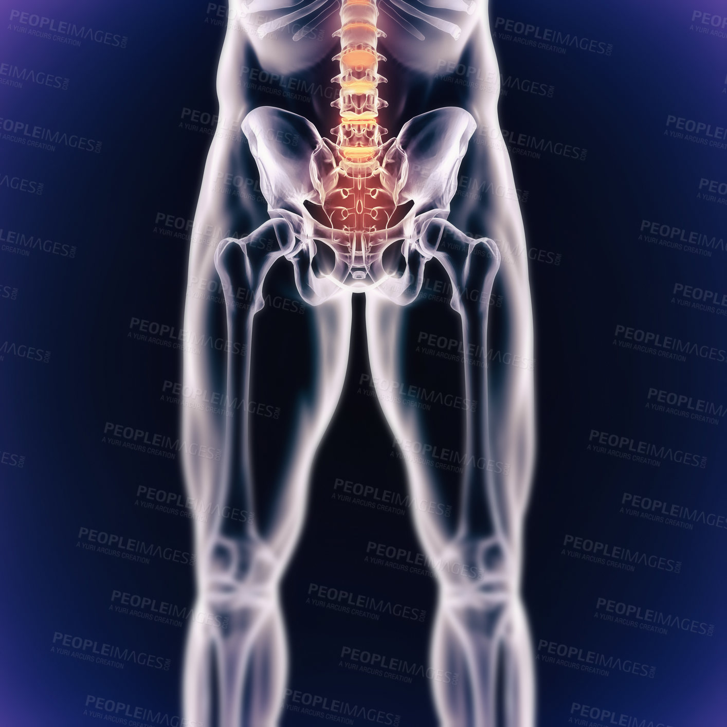 Buy stock photo Male body, skeleton and pain with graphic for xray, medical and overlay of exam or analysis. 3D of anatomy, radiology and pelvis with spine, hip and legs illustration for injury on a dark background