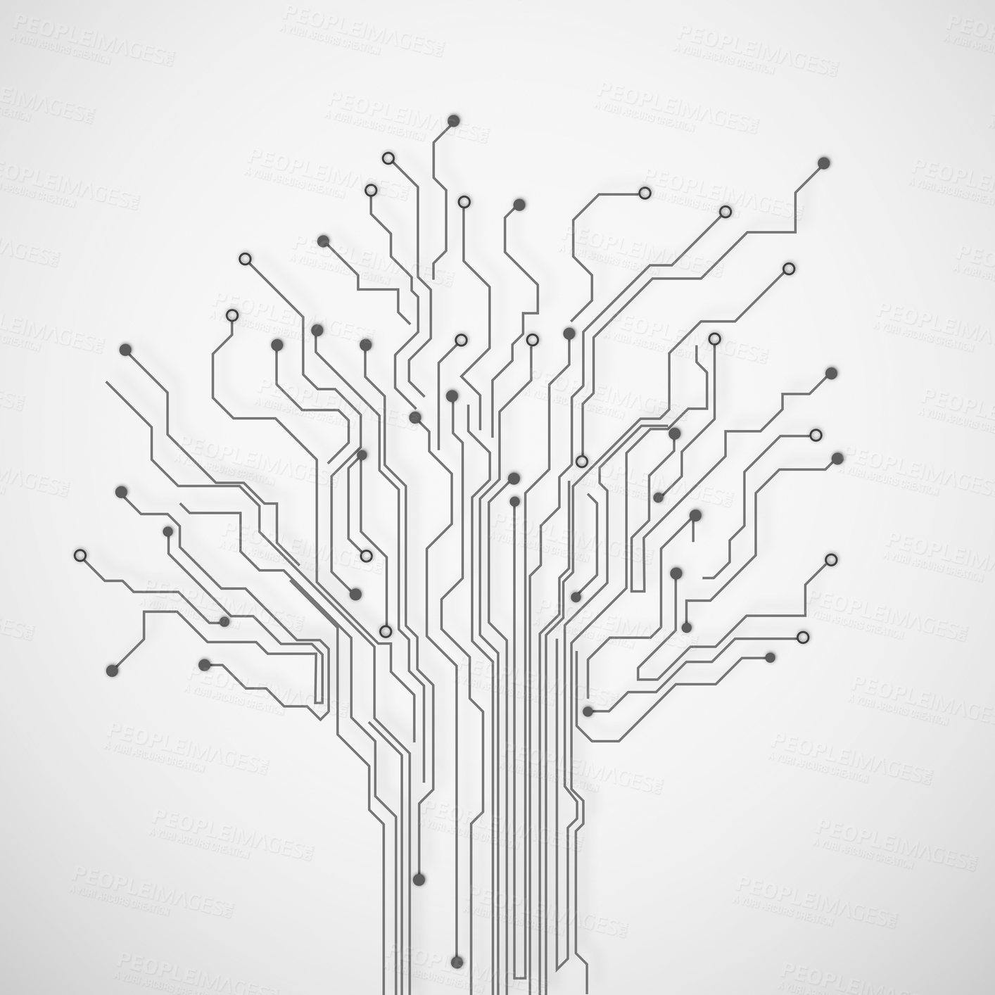 Buy stock photo Circuit, motherboard and tree for graphic on background with connection, networking or information technology. Data science, digital transformation and futuristic link for speed, iot or web highway