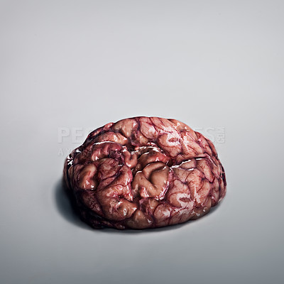 Buy stock photo A human brain lying on a grey background