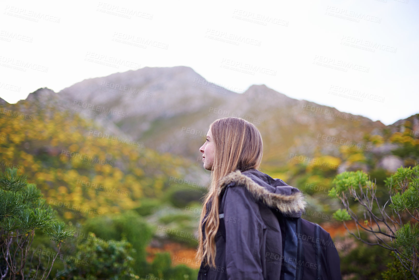 Buy stock photo Woman, hiking and mountain trekking for outdoor exploring for wellness workout, adventure or environment. Female person, bushes and walking in Australia for holiday travel, wilderness or vacation