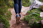 Hitting the trail