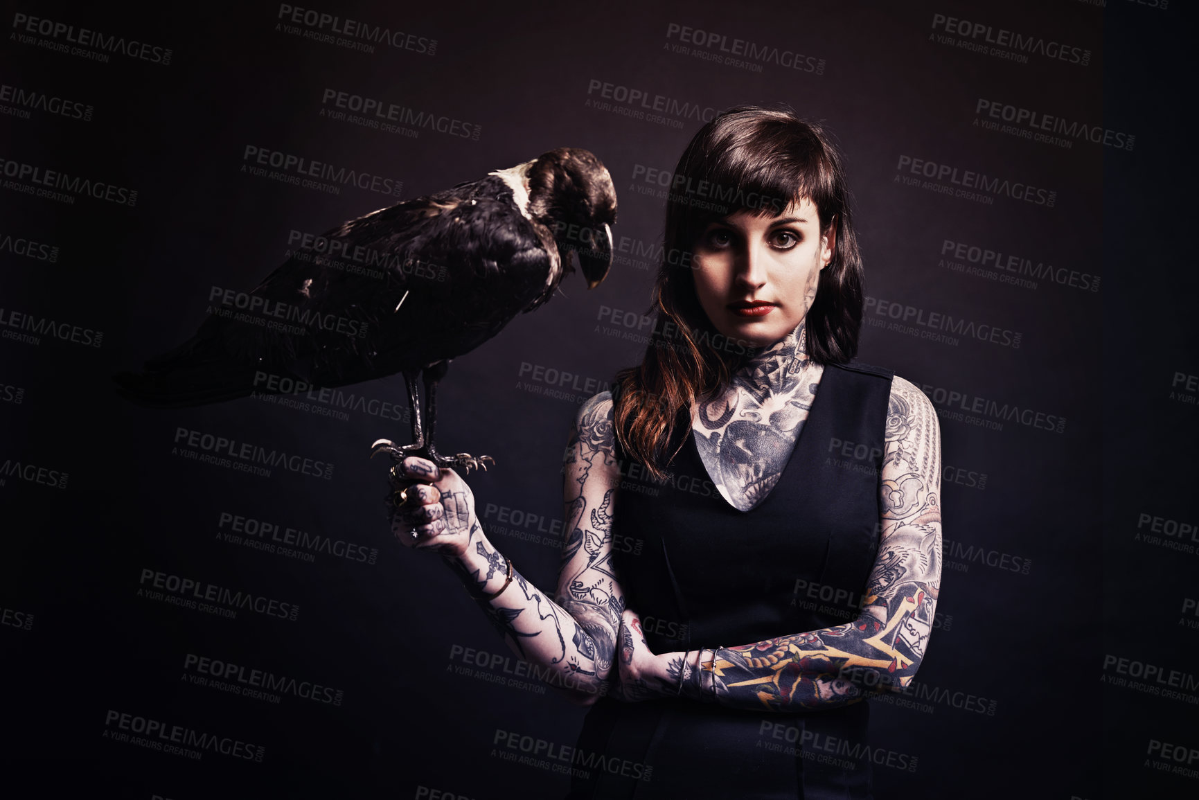 Buy stock photo Fashion, woman and portrait with bird in studio for witchcraft or magic, mysterious and fantasy with punk tattoo. Person, eagle and isolated on black background for darkness and creepy grunge look.