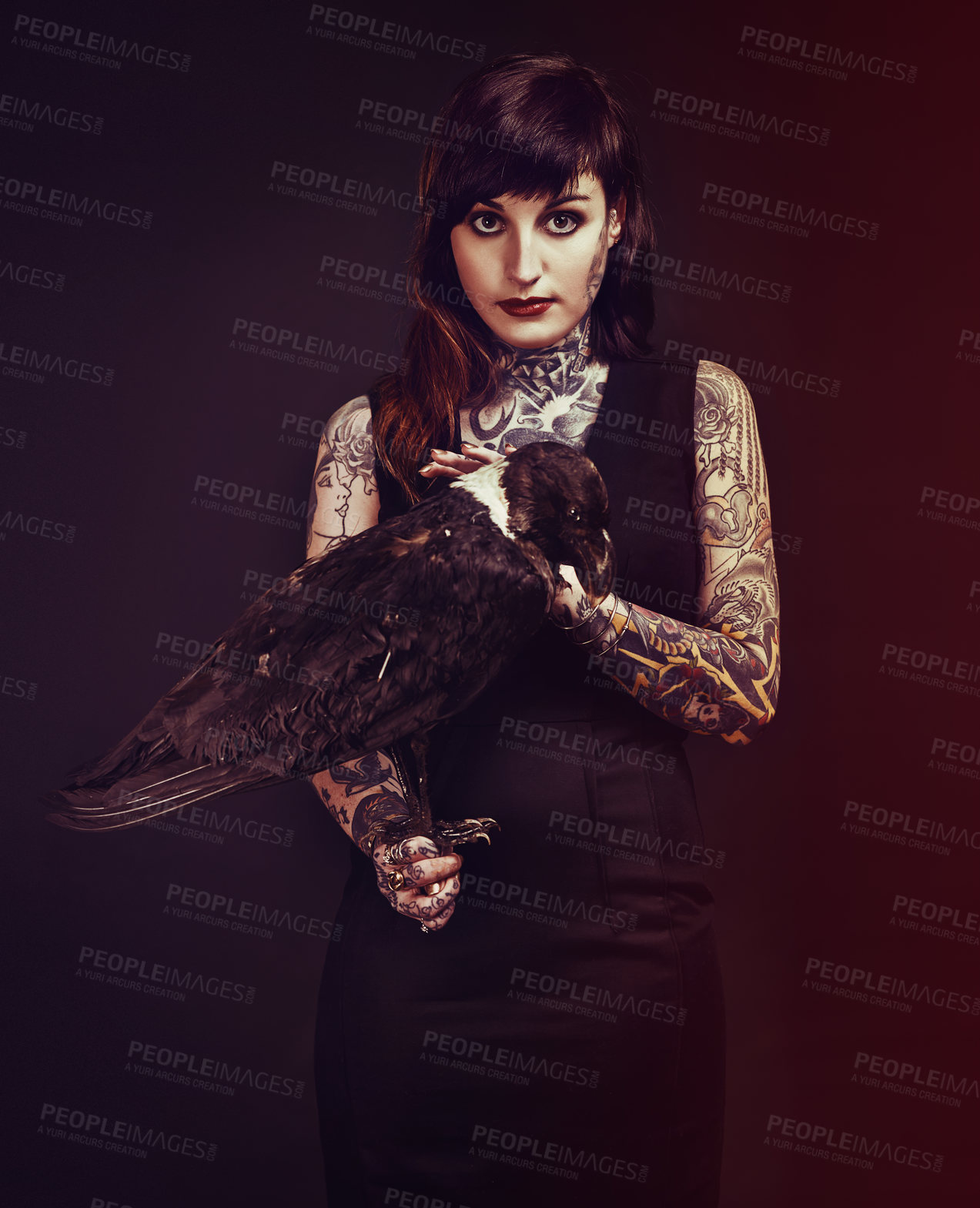 Buy stock photo Bird, tattoo or portrait of woman in studio for fashion or edgy style isolated on black background. Pied crow, dark or cool female punk model with ink for unique art, aesthetic or creative expression