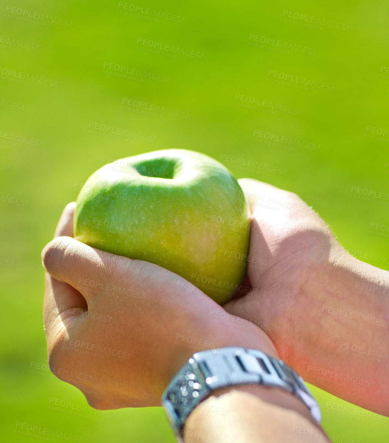 Buy stock photo Closeup shot of a green apple being held in the palms of a hand