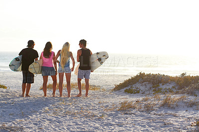 Buy stock photo Shot of surfing friends at the beach