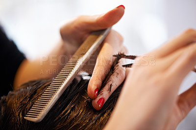 Buy stock photo Closeup shot of a man having his hair cut