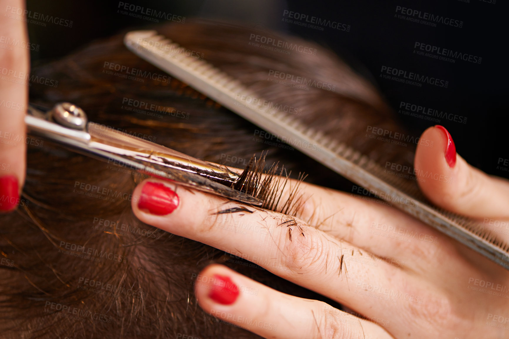 Buy stock photo Professional haircut, hands and man at barber shop for male client with scissors, beautician person and small business owner in beauty industry. Salon service, hairdresser and treatment for haircare.