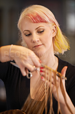 Buy stock photo Cropped shot of a female hairdresser cutting a client's hair