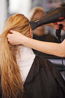 Buy stock photo Client, hairdryer and hands of hairdresser in salon for haircare maintenance and heat treatment. Styling, back view and customer for makeover, professional service and blow drying with cosmetic care