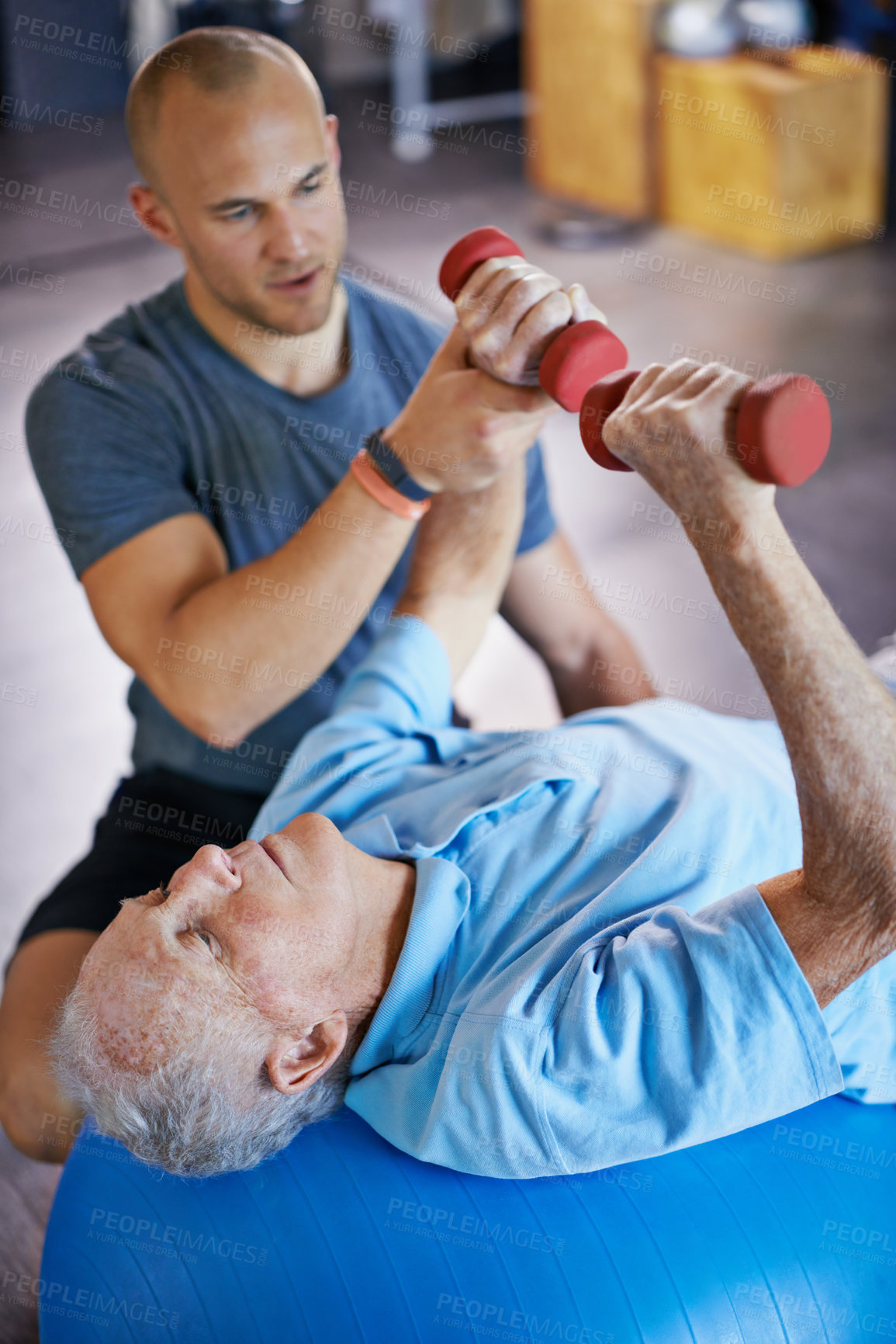 Buy stock photo Physiotherapist, dumbbell and old man on exercise ball for osteoporosis treatment in fitness centre, workout and pain reduction for elderly person. Male retiree, professional and senior care. 