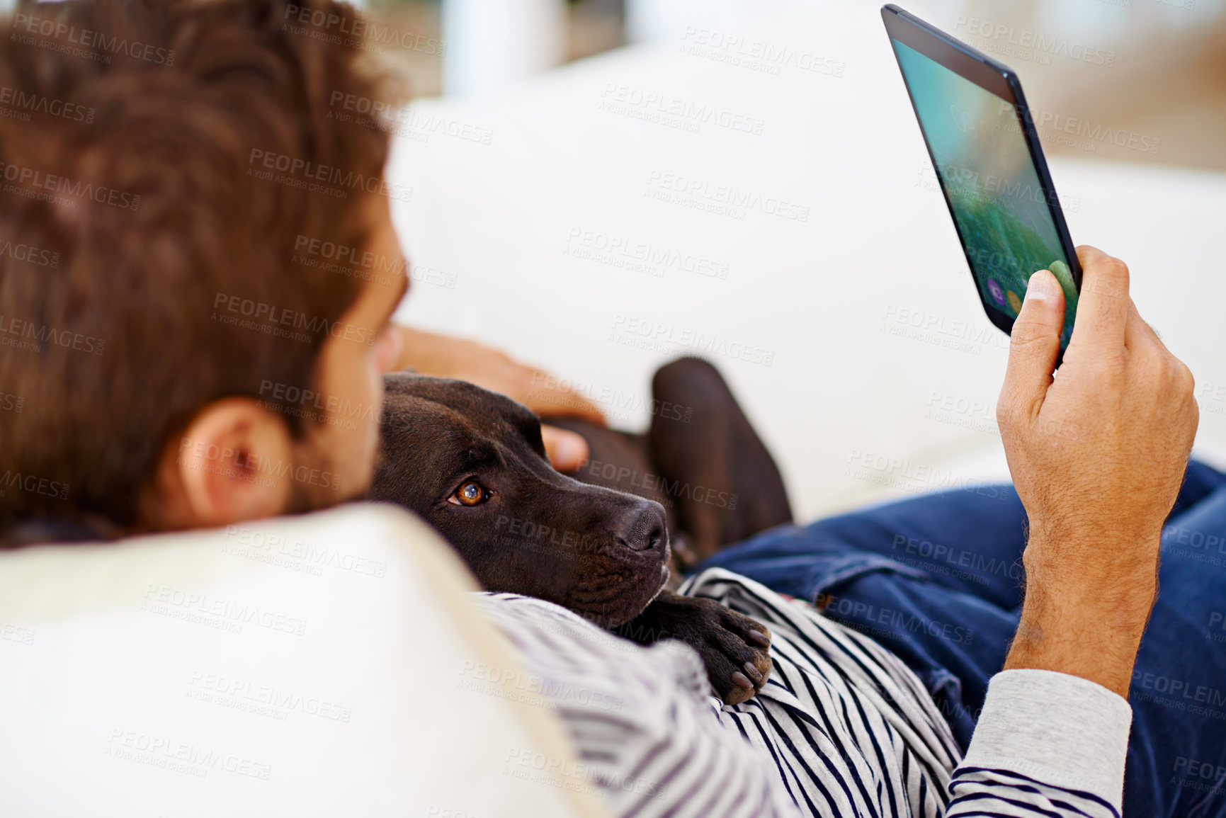 Buy stock photo Man using his tablet on his couch