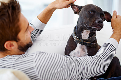 Buy stock photo Man, dog and play on couch in home, love and bonding with animal on weekend for fun or relax. Male person, living room and stroke for pet care or affection, support and happy loyal companion on sofa