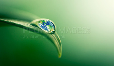 Buy stock photo Closeup shot of a water droplet on a leaf