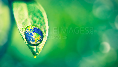 Buy stock photo Closeup shot of a water droplet on a leaf