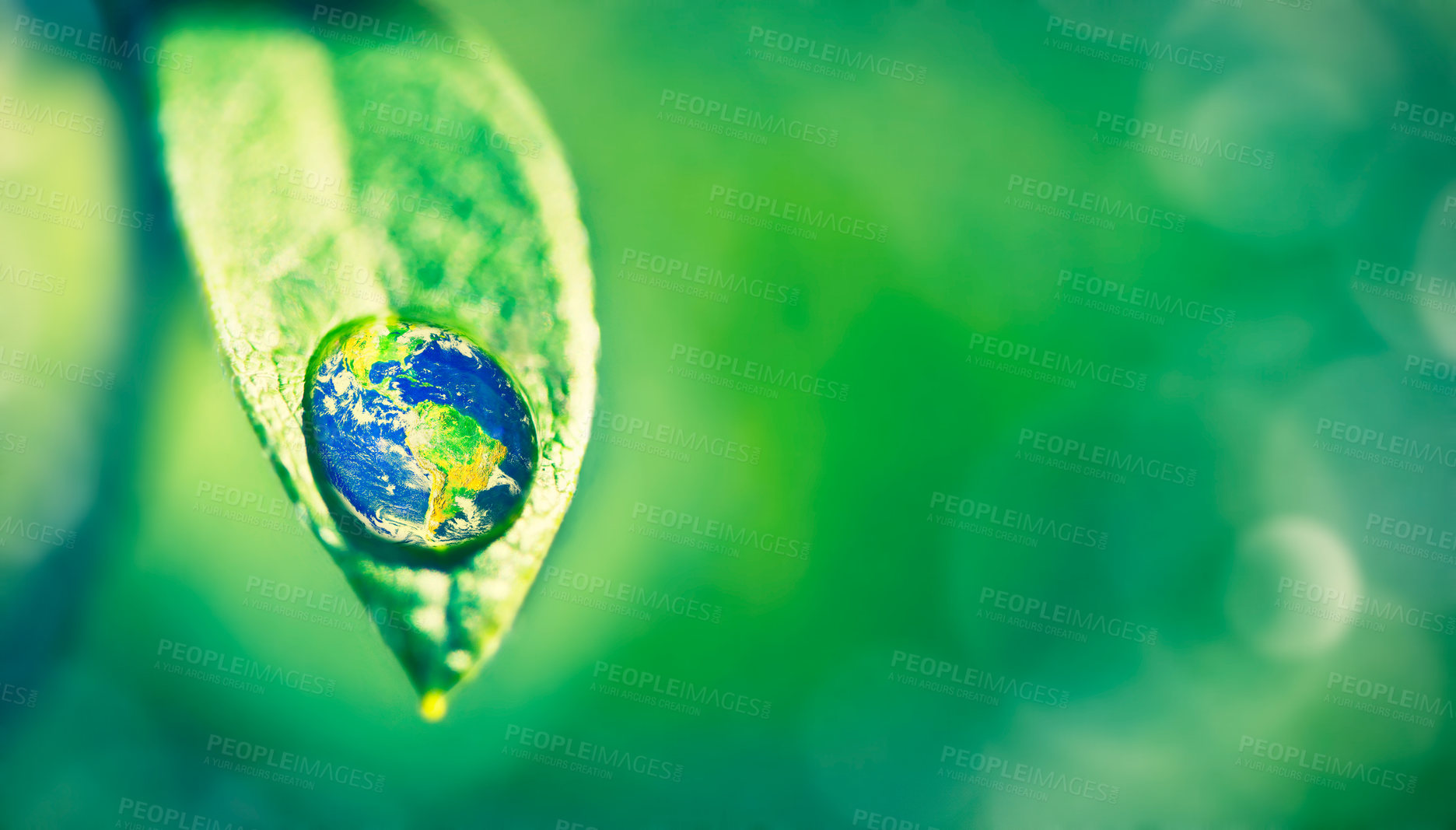 Buy stock photo Closeup shot of a water droplet on a leaf