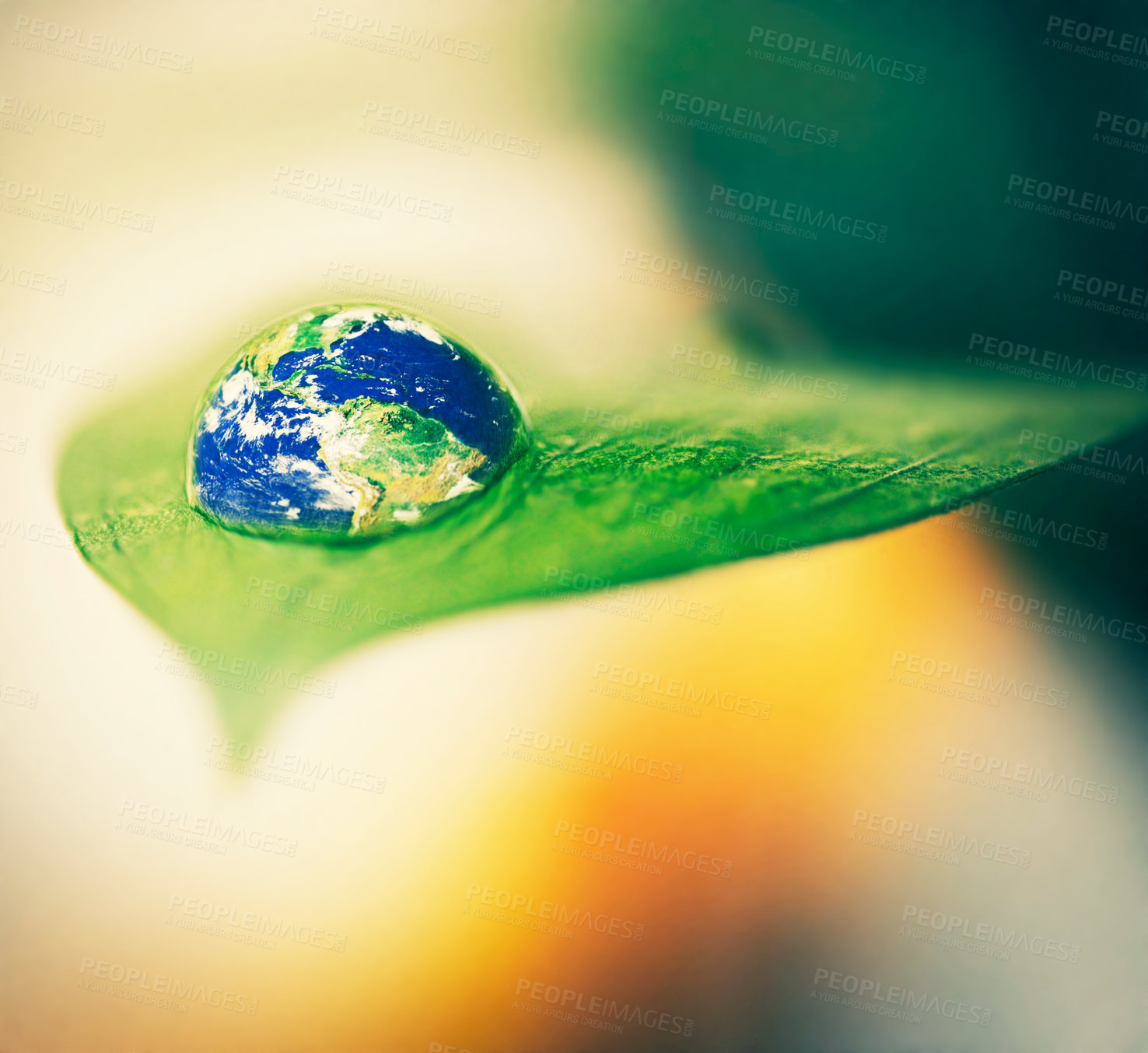 Buy stock photo Water drops, leaf and plant in earth, nature or environment on a background in summer. World, droplet or planet with morning dew, abstract texture or liquid closeup for sustainability on mockup space