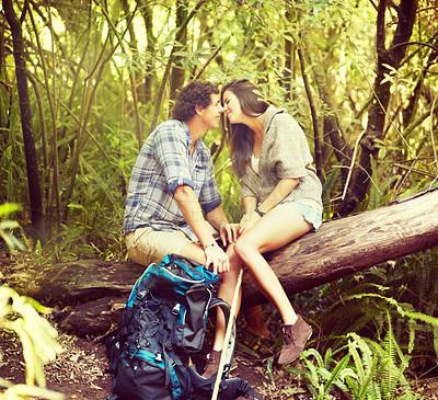 Buy stock photo Couple, love and kiss in forest for hiking, adventure or memory with romance and affection outdoor. People, man and woman on tree kissing in woods or nature for vacation, travel or holiday with care