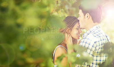 Buy stock photo Happy, man and woman in park with kiss on forehead for affection, love and connection with lens flare. Couple, romantic and embrace in nature with trees for bonding, unity and date on valentines day