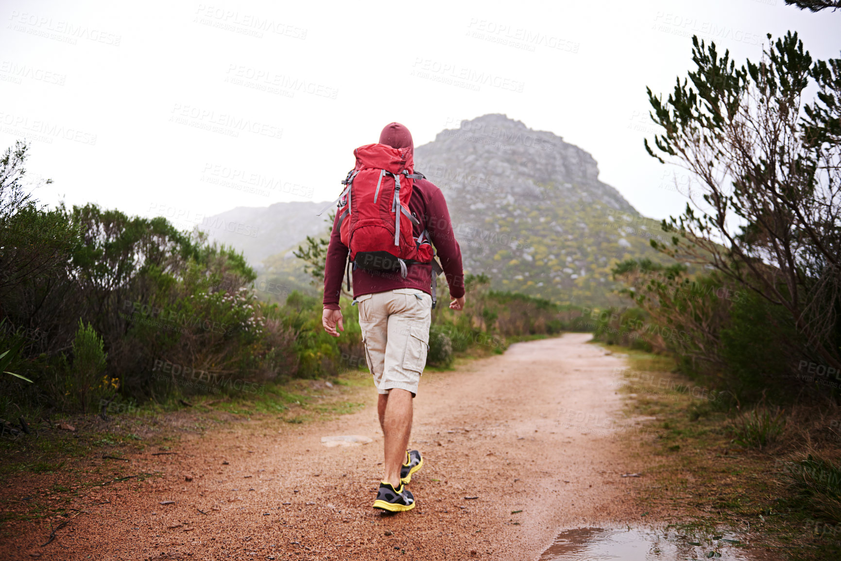 Buy stock photo Man, walking and mountain with bag in nature, Germany trail on wildlife conservation. Active, male person on adventure for health and wellness, confident explorer on backpacking for outdoor sport