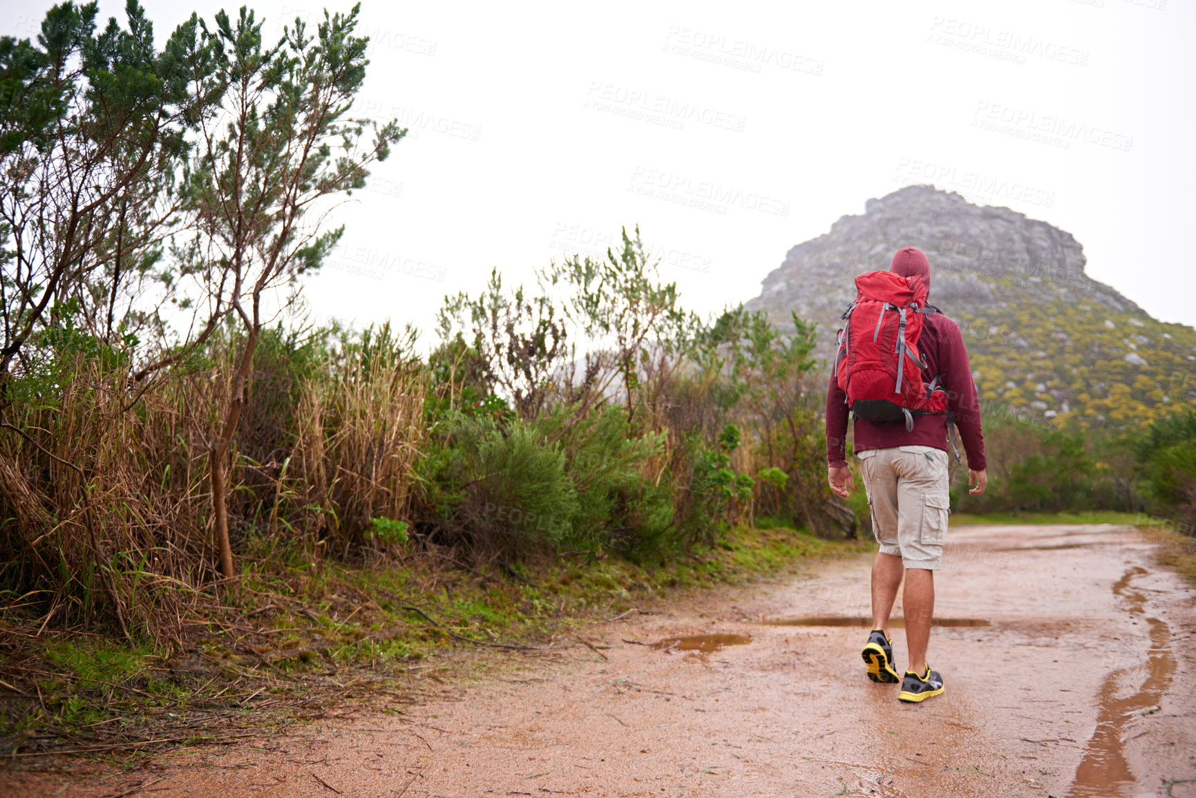 Buy stock photo Hiking, nature and man back with backpack, workout and adventure outdoor on mountains and path with plants. Journey, fitness and walking with camping gear and bag for exercise and explorer with trail