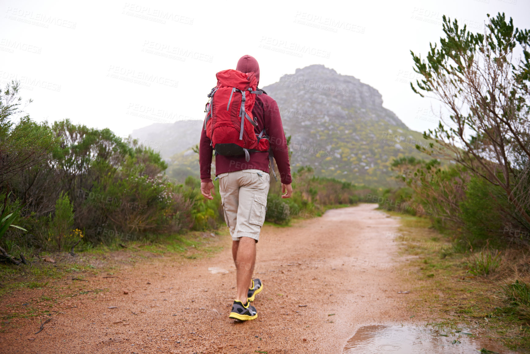 Buy stock photo Hiking, nature and man back with backpack, travel and adventure outdoor on mountain path with plants. Journey, fitness and walking with camping gear and bag for exercise and explorer with training