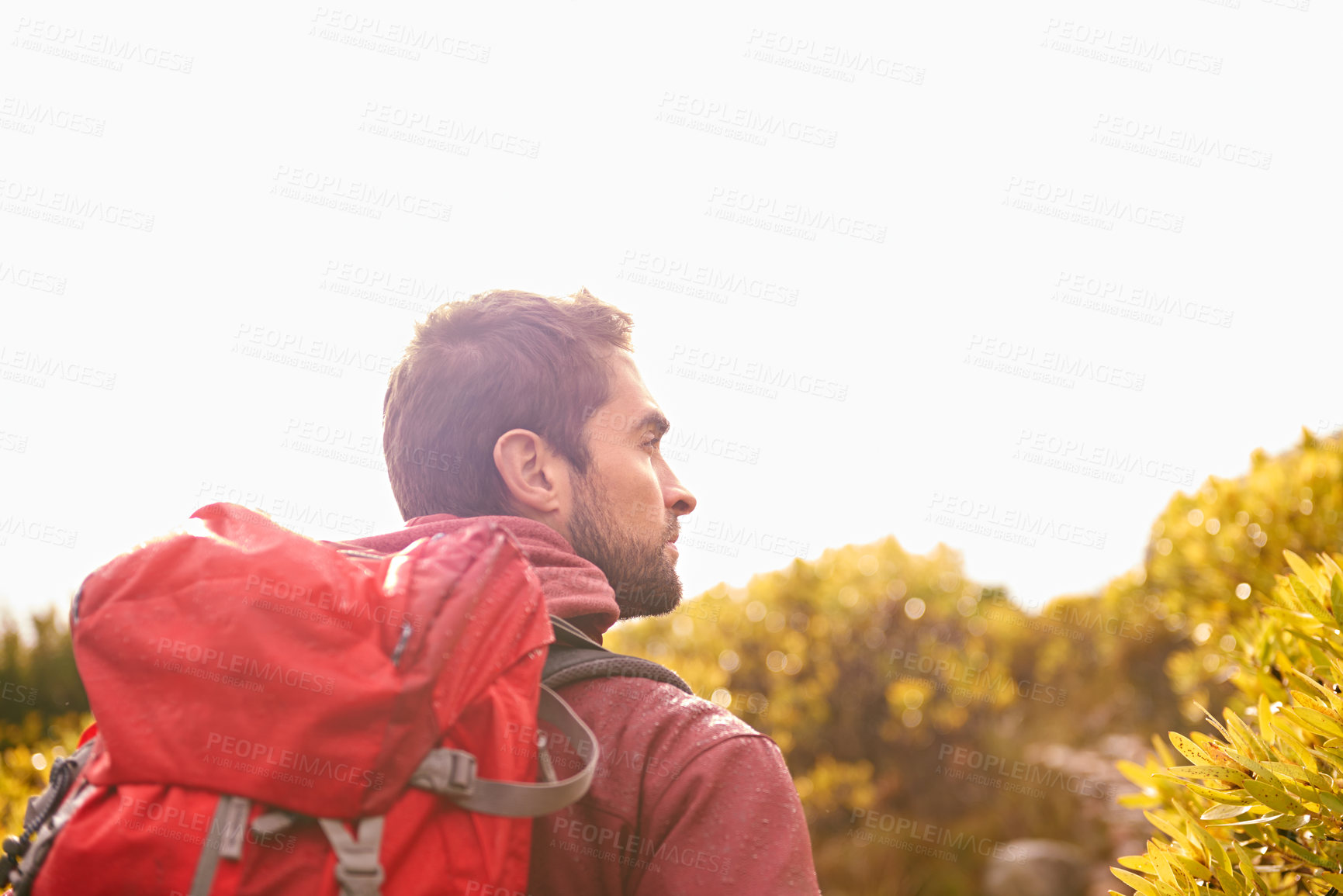 Buy stock photo Hiking, thinking and man by tree, nature and rock for outdoor adventure on mountain. Male person, athlete and sport in environment for exercise, fitness or health with backpack by plants in forest